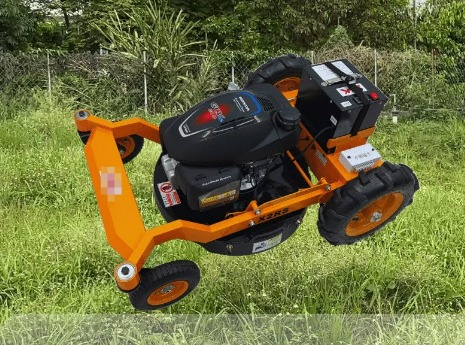 How Often Should Y···